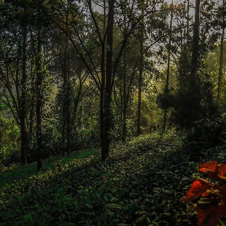 Southern Panorama Indriya Resorts & Spa Munnar Esterno foto