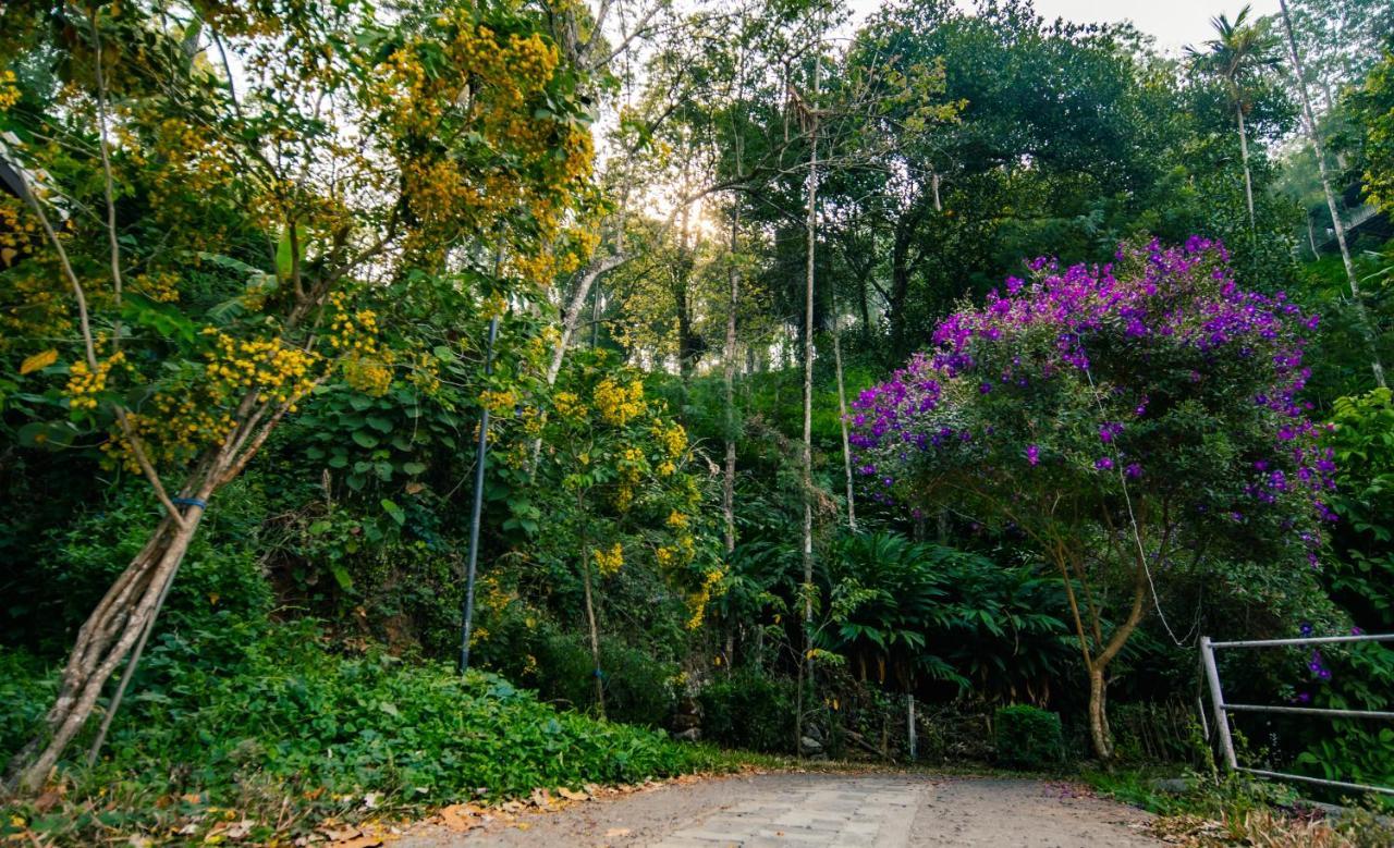 Southern Panorama Indriya Resorts & Spa Munnar Esterno foto